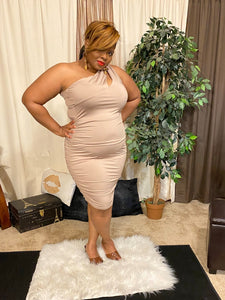 Whiplash Plus Size Dress